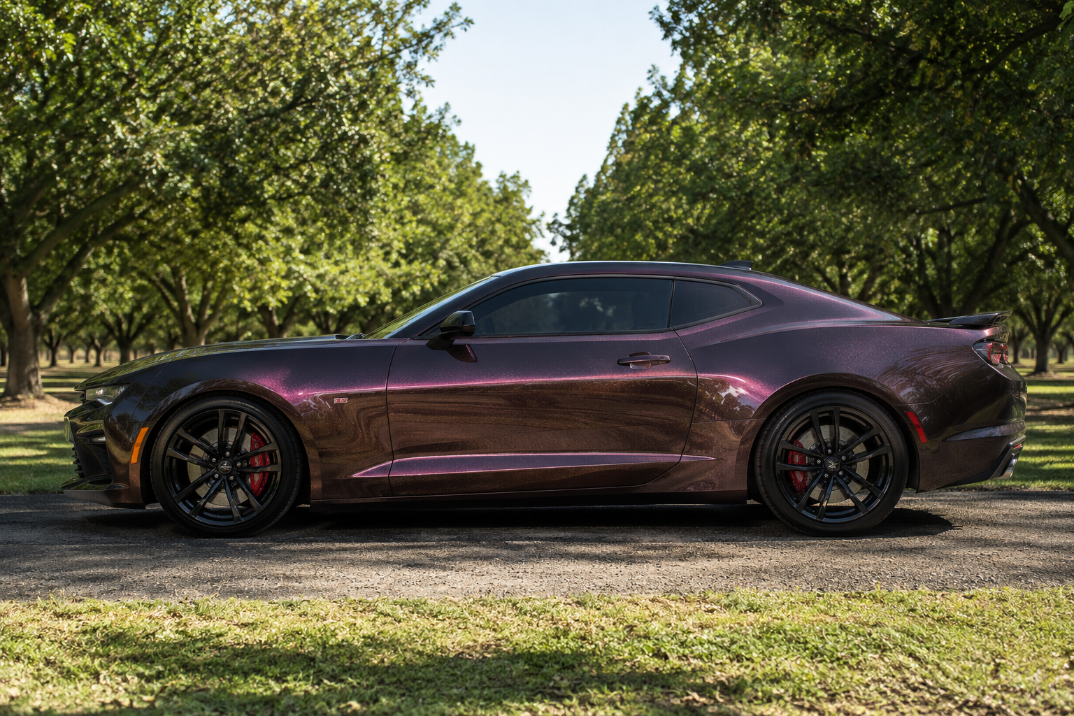 k053 Starry Phantom Apex Opulent Color Series Paint Protection Film (PPF)
